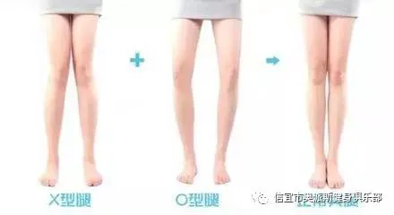 青少年篮球训练的影响因素及对策研究_0